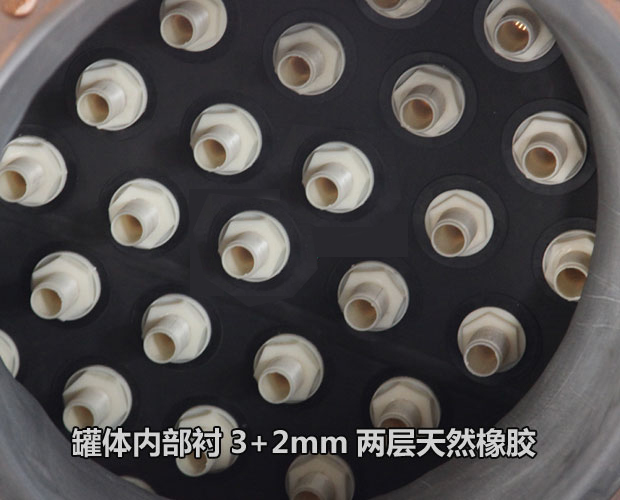 陽離子交換器 陽離子交換器