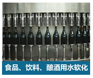 2噸/小時全自動軟水器