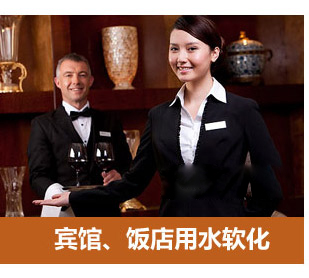 2噸/小時全自動軟水器